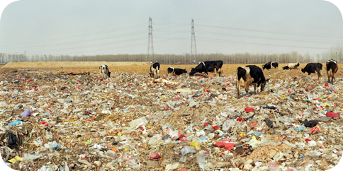 Beijing Besieged by Waste