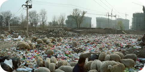 Beijing Besieged By Waste