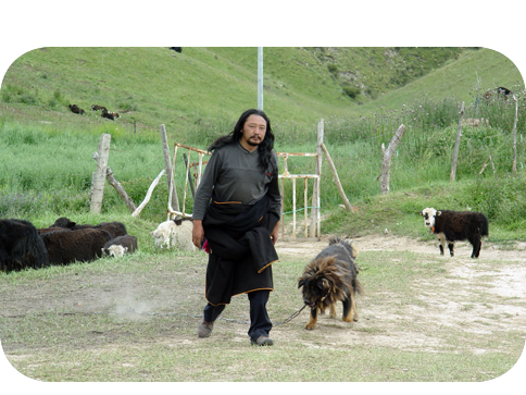 Picture of man with mastiff